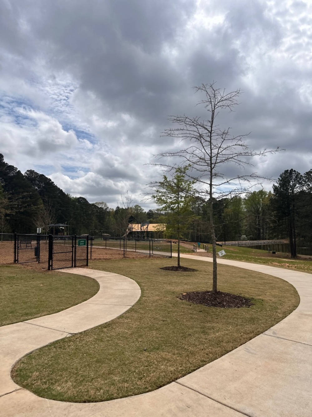 Bless our friends with a letter stainless steel necklace